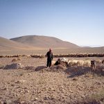 Los agricultores sirios se preparan para una cosecha catastrófica