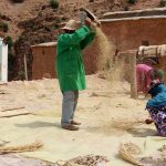 El frágil estado de la seguridad alimentaria en el Magreb: implicaciones de la crisis de los cereales de 2021 en Túnez, Argelia y Marruecos