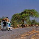 Cambio climático e inestabilidad política: ¿Encontrará Sudán alguna vez una salida?